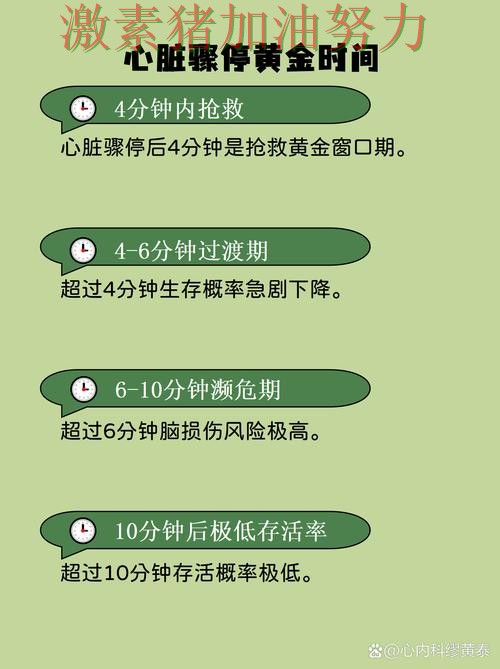 韩国核心爆发临场调整值得复盘 韩国核心爆发临场调整值得复盘